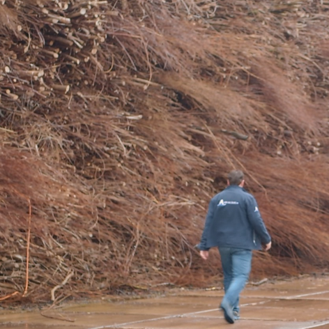 This slide displays Van Aalburg.