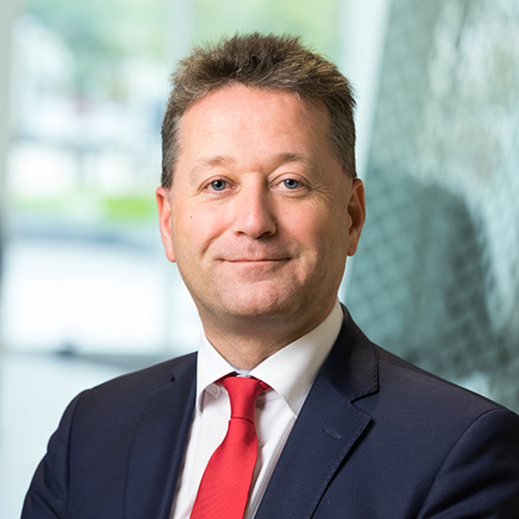 This is an image of Edwin van de Woestijne.